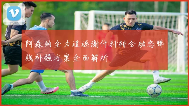 阿森纳全力追逐谢什科转会动态锋线补强方案全面解析