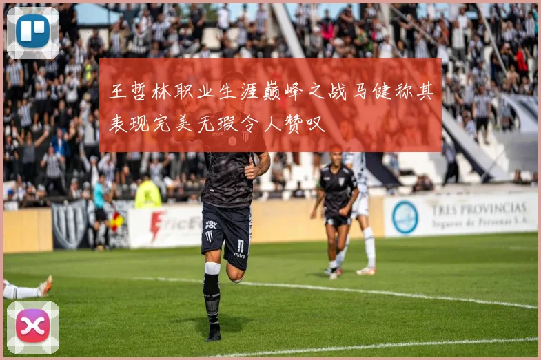 王哲林职业生涯巅峰之战马健称其表现完美无瑕令人赞叹