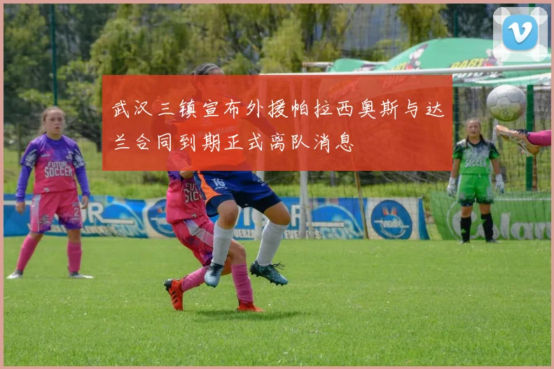 武汉三镇宣布外援帕拉西奥斯与达兰合同到期正式离队消息